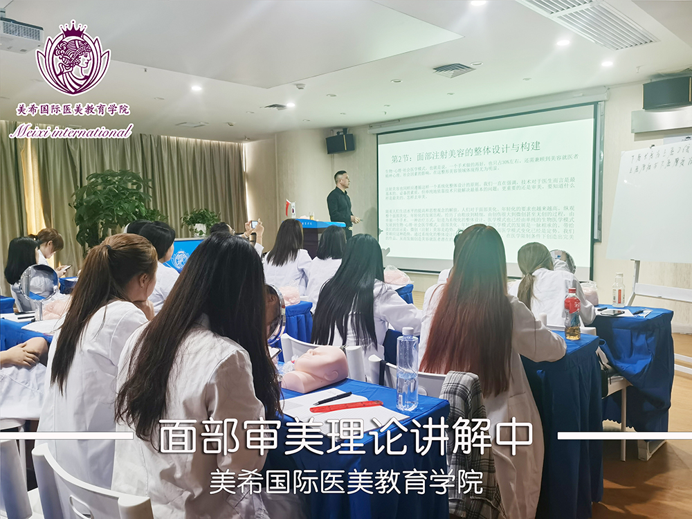 面部審美理論講解