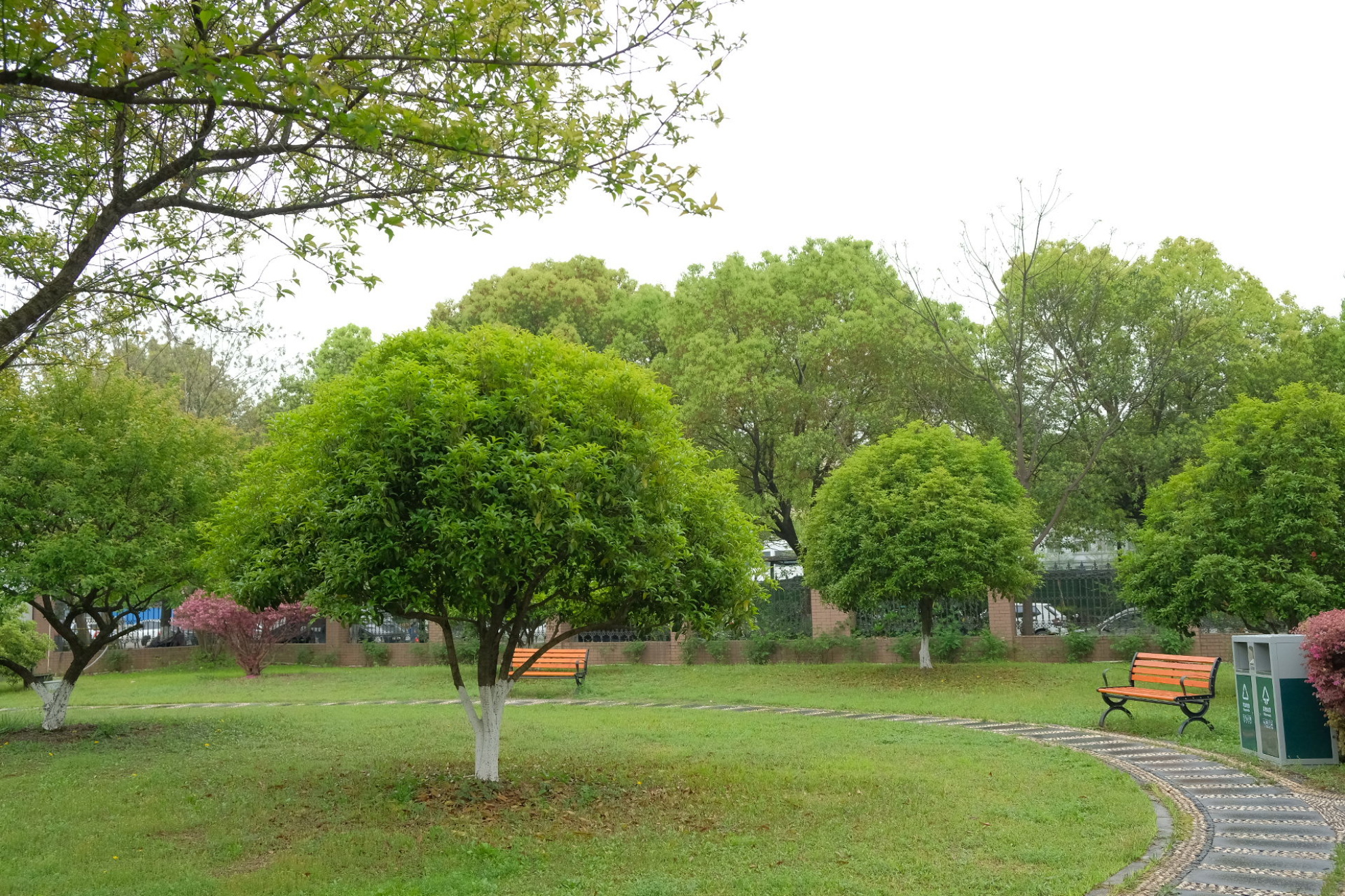 花園