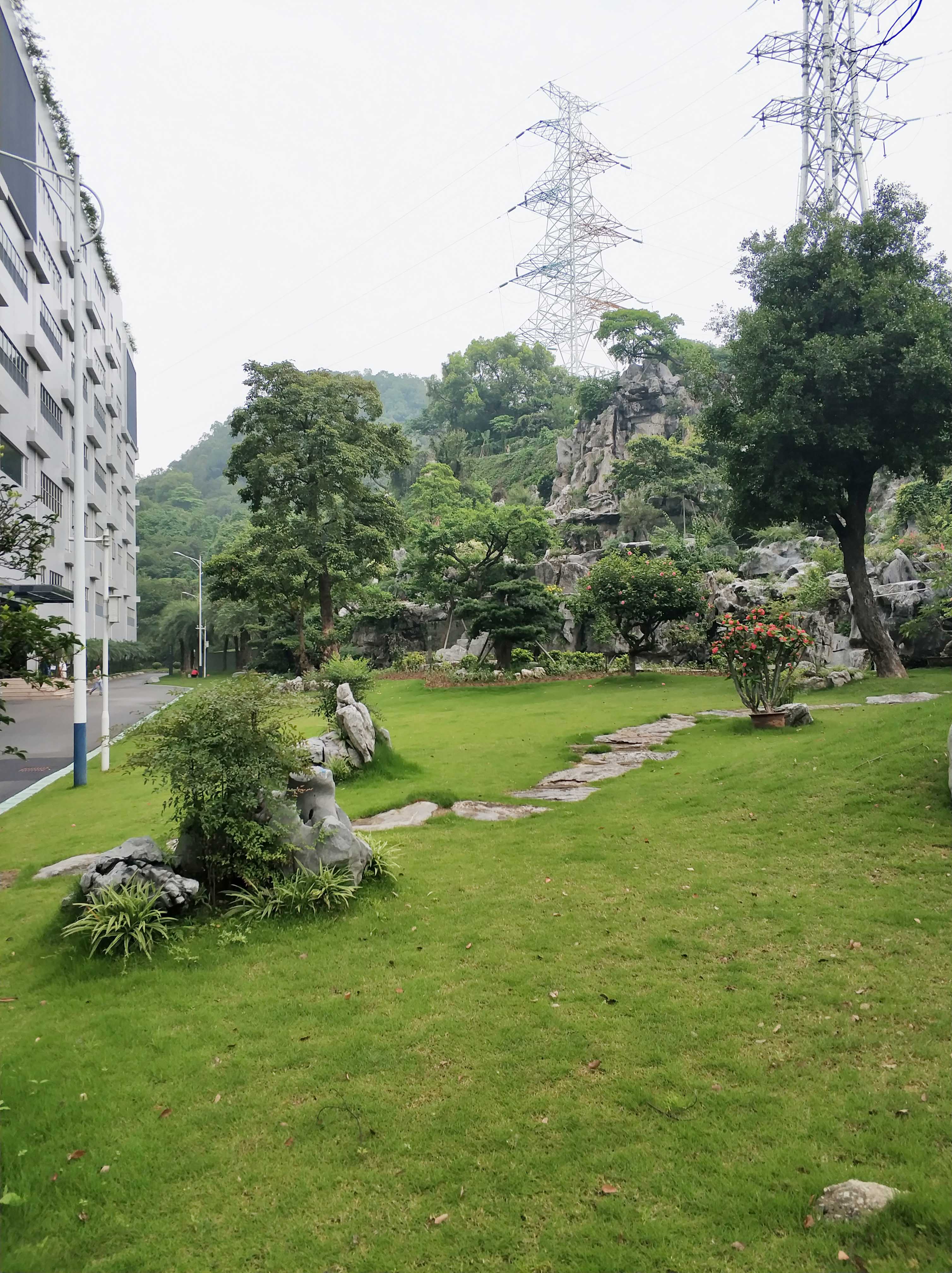 學(xué)校外景