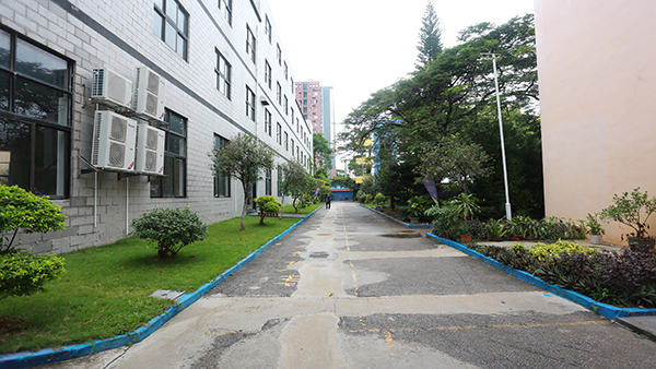 學(xué)校校道
