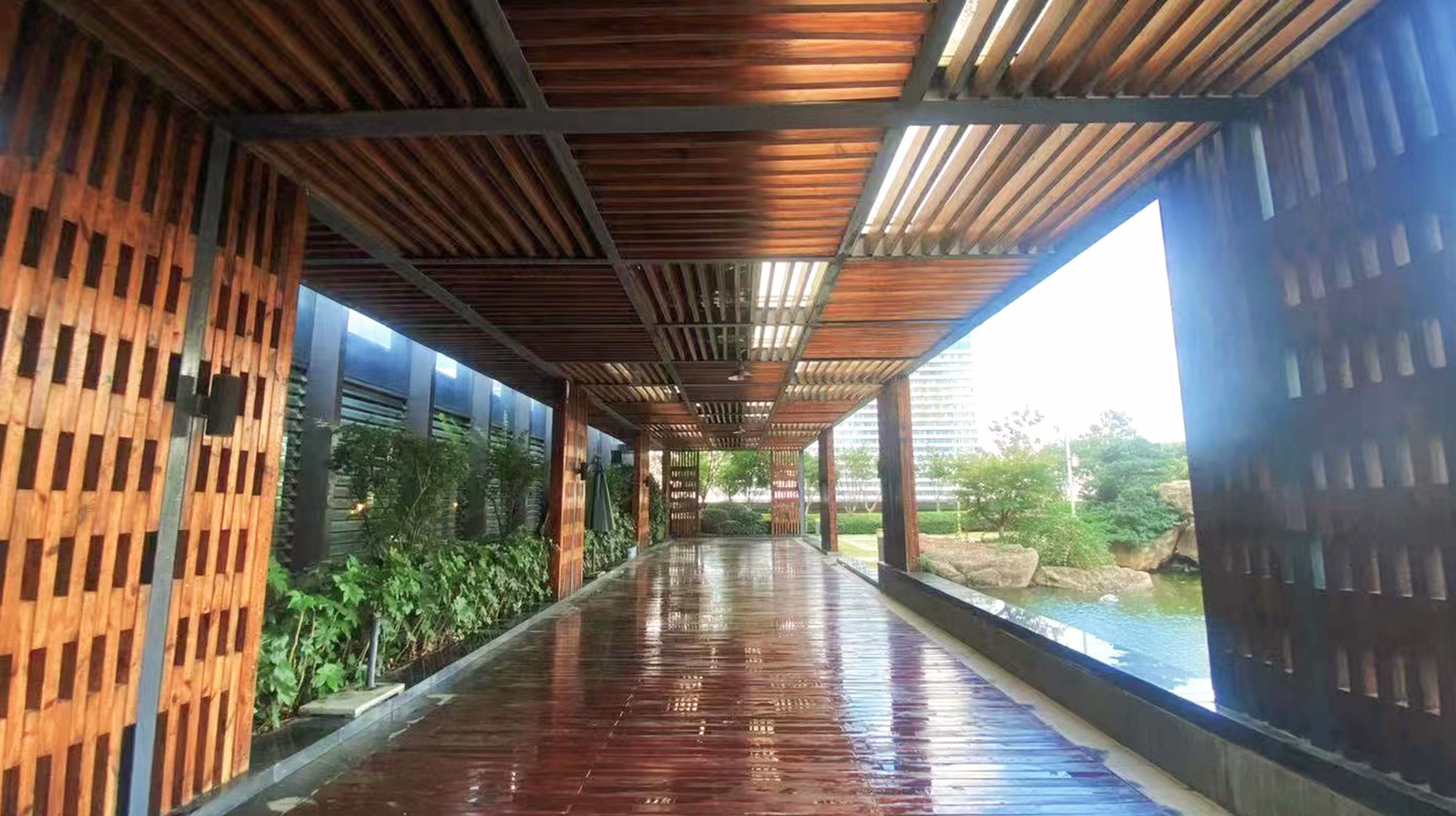 校園風景