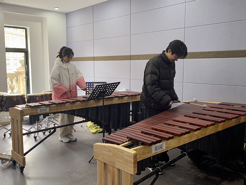 音樂學(xué)習(xí)