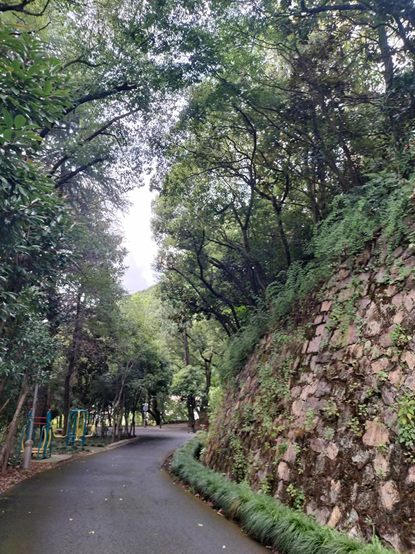 環(huán)境展示