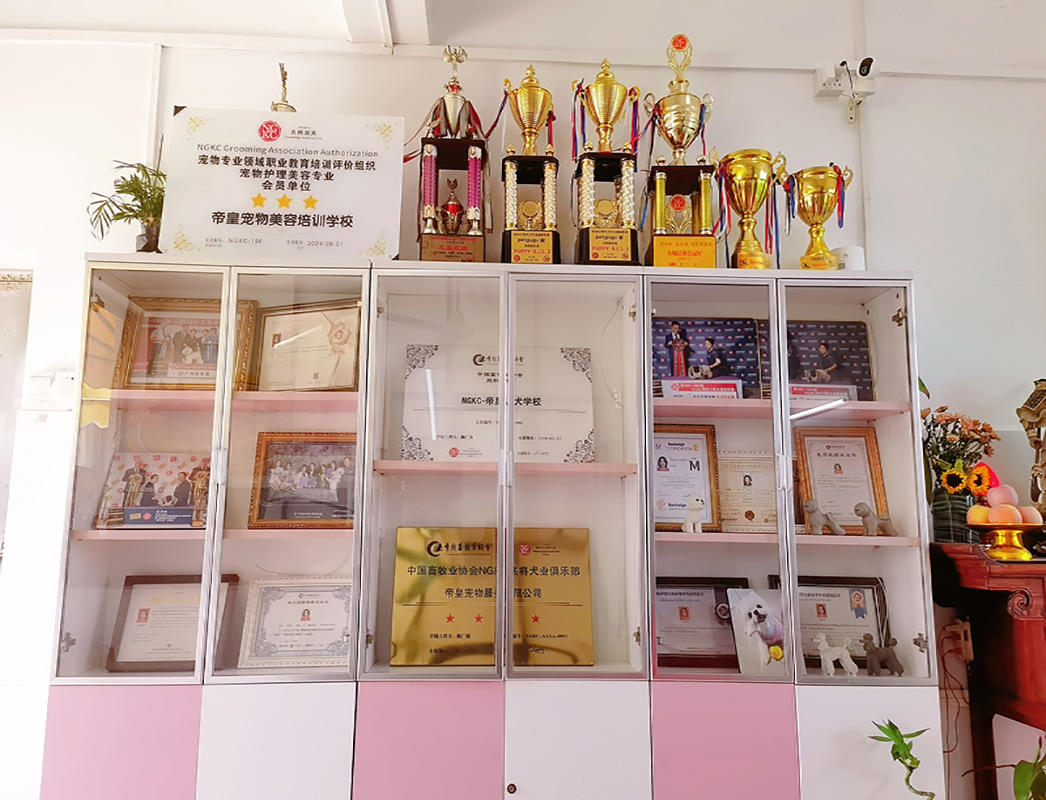 榮譽(yù)展示區(qū)