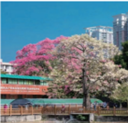 生物園