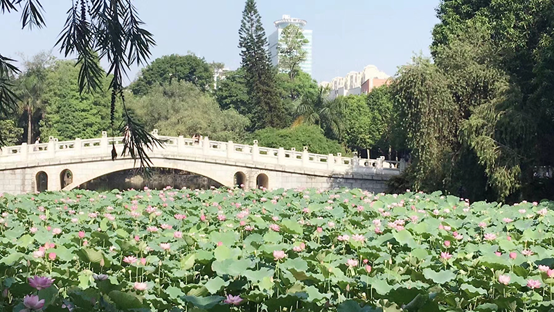學(xué)校風(fēng)景